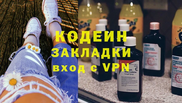молекула духа Бородино