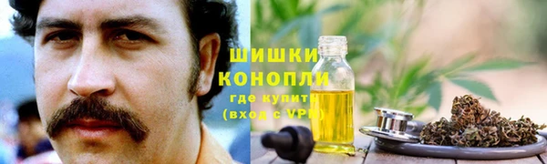 молекула духа Бородино