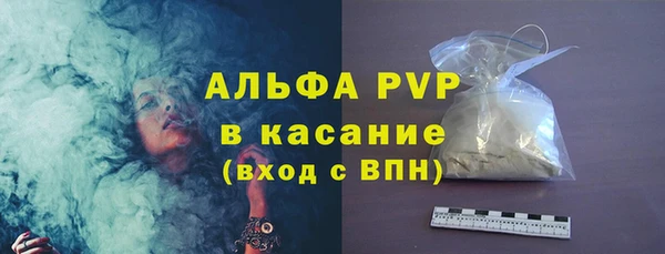 молекула духа Бородино