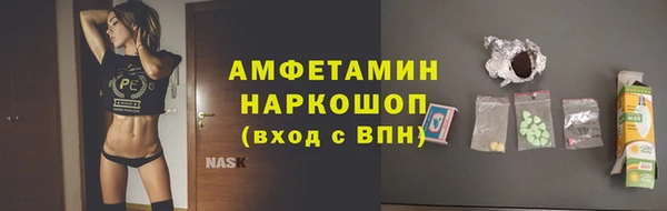 молекула духа Бородино