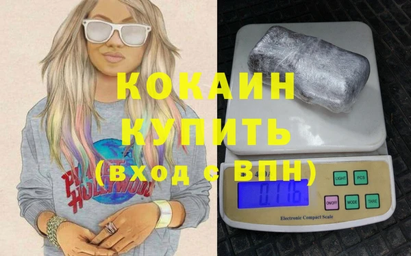 молекула духа Бородино