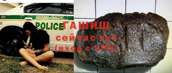 молекула духа Бородино