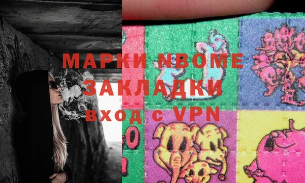 молекула духа Бородино