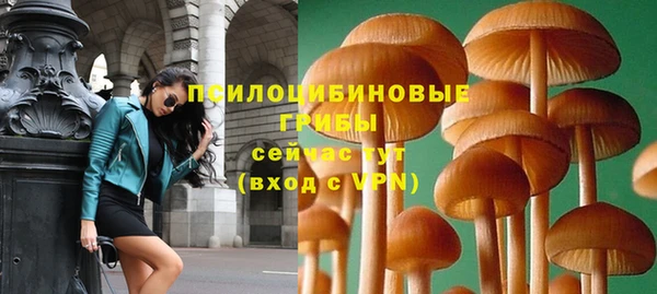 молекула духа Бородино