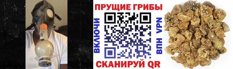 Галлюциногенные грибы мухоморы  Нерехта 