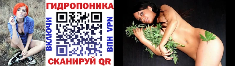 как найти наркотики  Нерехта  Марихуана семена 